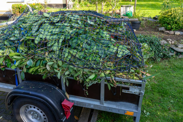 Best Shed Removal  in Tolono, IL